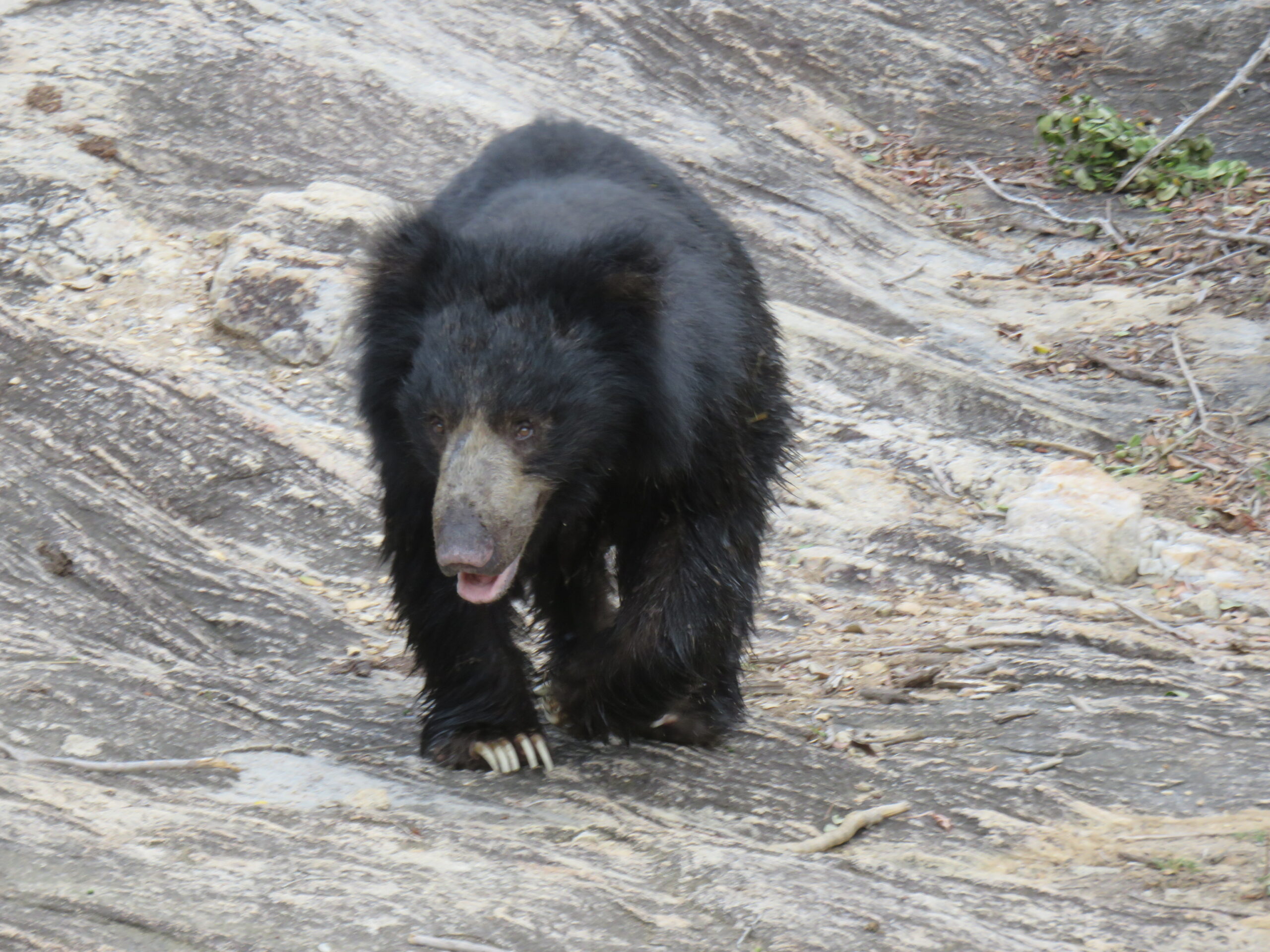 Sri Lanka Wildlife Media Tour